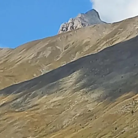 Les Balcons De Labrau - La Foux D'Allos * Allos